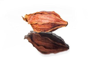 卡牌游戏《拉西维加西》Steam页面上线 5月发售